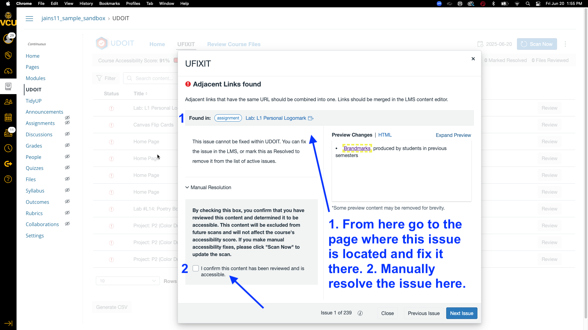UDOIT window showing an adjacent links issue